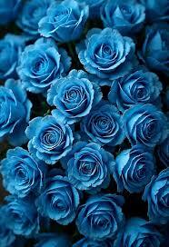 Blue Dream Flower